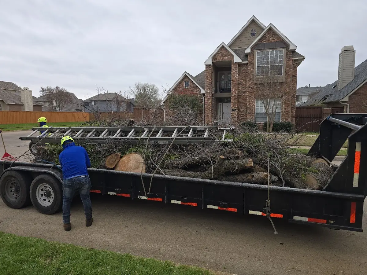 Expert Lot Clearing with proper safety equipment in Hill City